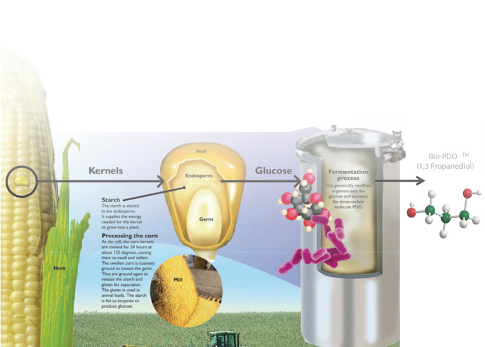 Biomass membrane production process